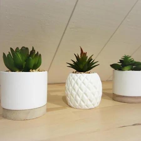 Le - Chez Gally A Angers