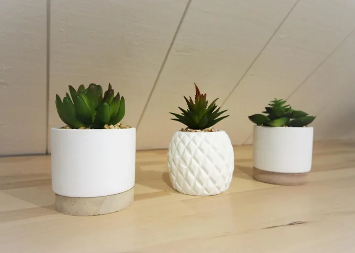 Le - Chez Gally A Angers