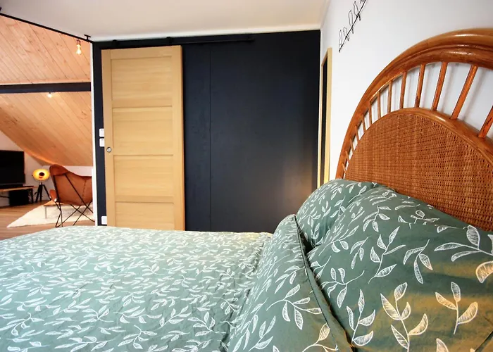 Le - Chez Gally A Angers Апартаменты